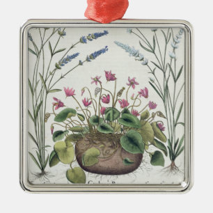 Cyclamen and Lavender: 1.Cyclamen Romanum; 2.Spica Metal Ornament