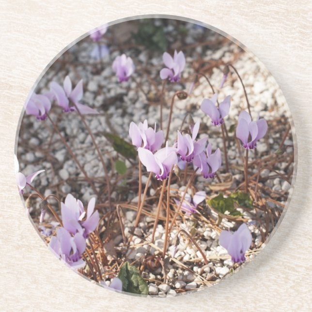 Cyclamen Coaster (Front)