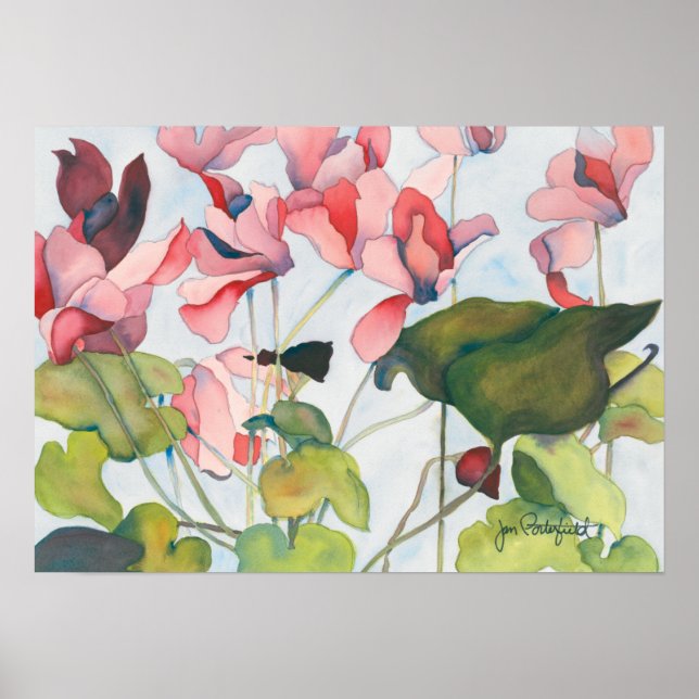 cyclamen poster (Front)