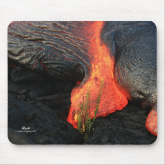 Cycle of Life - Hawaii, The Big Island Mouse Pad
