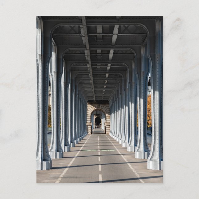 Cycle Path on the pont Bir-Hakeim - Paris, France Postcard (Front)