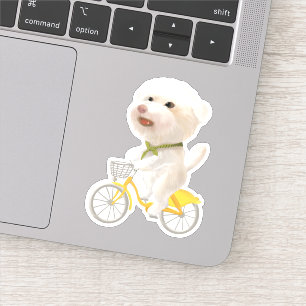 Cycling by the Sea: Smiling Bichon & Bao Bao Art