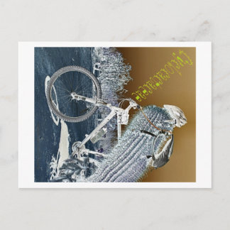 Cyclocactaceae Postcard