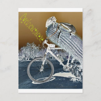 Cyclocactaceae Postcard