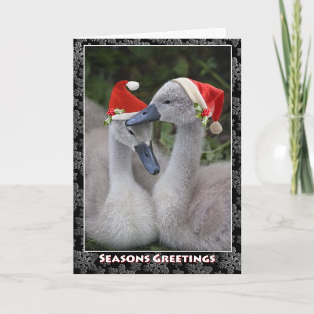 Cygnet Christmas Card (Front)