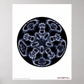 Cymatics: Music Note C Poster
