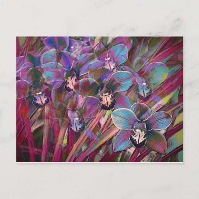 Cymbidium Orchid Carnival Postcard (Front)