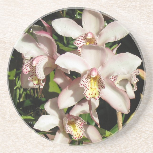 Cymbidium Orchids coaster (Front)