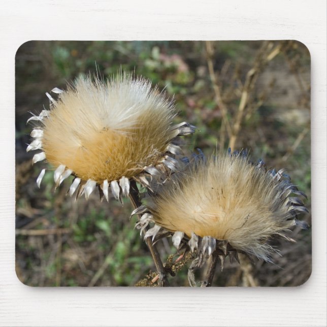 Cynara cardunculus mouse pad (Front)