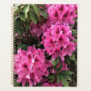 Cynthia Rhododendrons, Oregon Planner