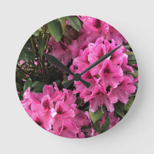 Cynthia Rhododendrons, Oregon Round Clock