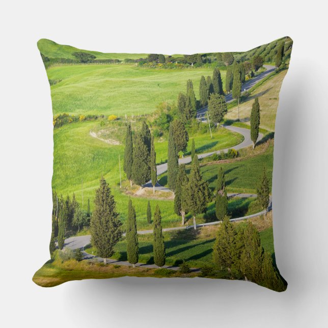 Cypress lined winding road in Tuscany throw pillow (Front)