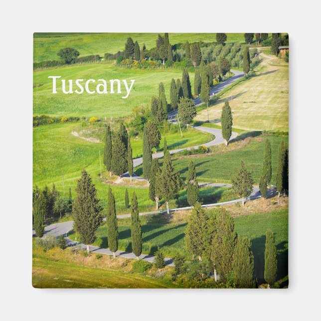 Cypress lined winding road in Tuscany with text Magnet (Front)