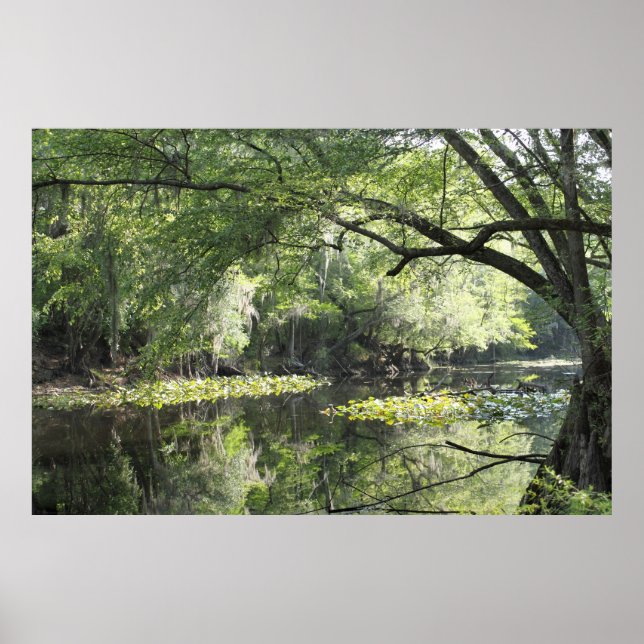 Cypress River A Part  Poster -60x40 -or smaller (Front)