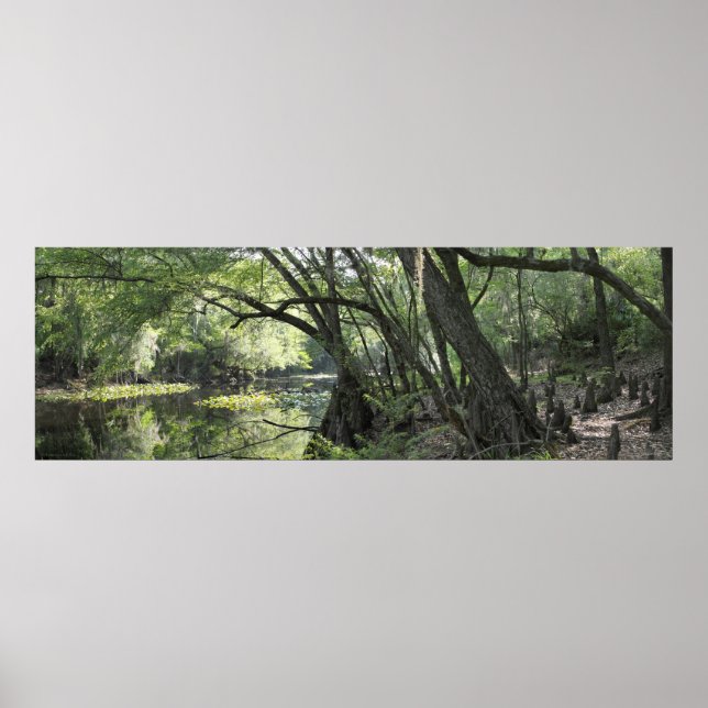 Cypress River Panoramic Poster -60x20 -or smaller (Front)
