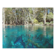 Cypress Springs
