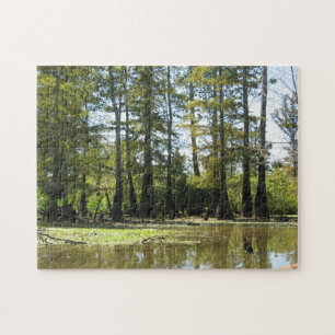 Cypress Swamp Landscape Jigsaw Puzzle