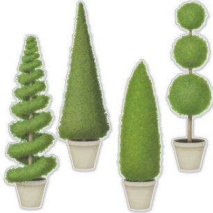 Cypress Topiary Collection Charming Garden