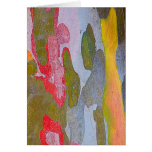 Cypress tree bark patterns, Italy