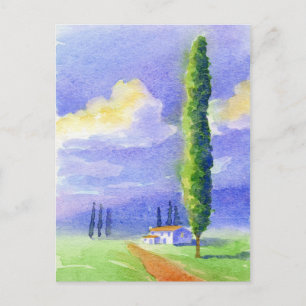 Cypress tree postcard