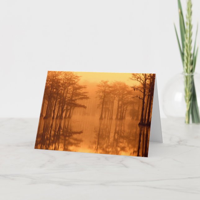 Cypress Trees George Smith State Park Card (Front)