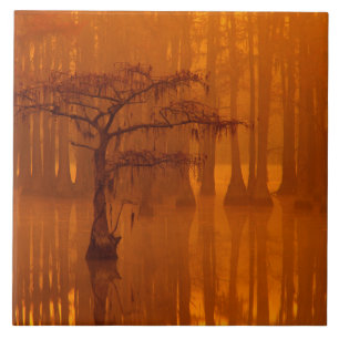 Cypress Trees George Smith State Park Ceramic Tile
