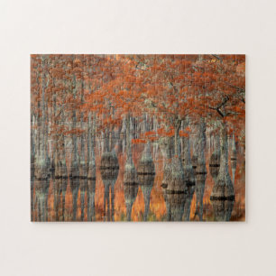 Cypress Trees George Smith State Park, Georgia Jigsaw Puzzle