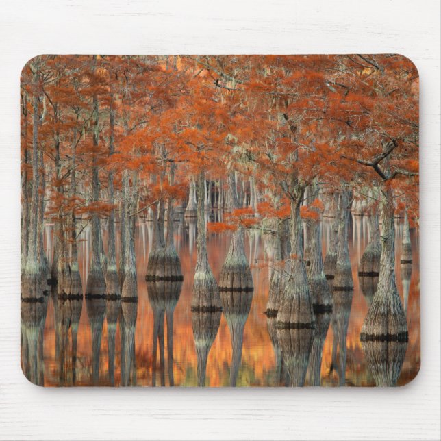 Cypress Trees | George Smith State Park, Georgia Mouse Pad (Front)