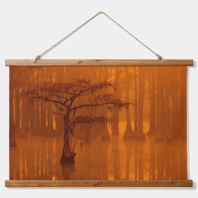 Cypress Trees | George Smith State Park Hanging Tapestry (Front)