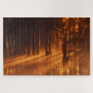 Cypress Trees George Smith State Park Jigsaw Puzzle
