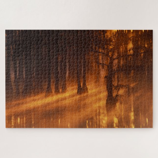 Cypress Trees | George Smith State Park Jigsaw Puzzle (Horizontal)