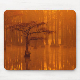 Cypress Trees George Smith State Park Mouse Pad
