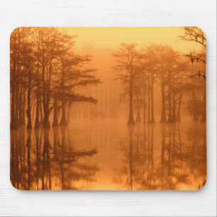 Cypress Trees George Smith State Park Mouse Pad