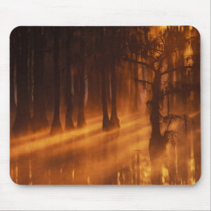 Cypress Trees   George Smith State Park Mouse Pad