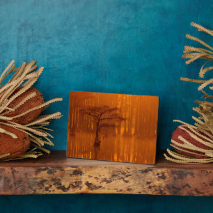 Cypress Trees   George Smith State Park Plaque