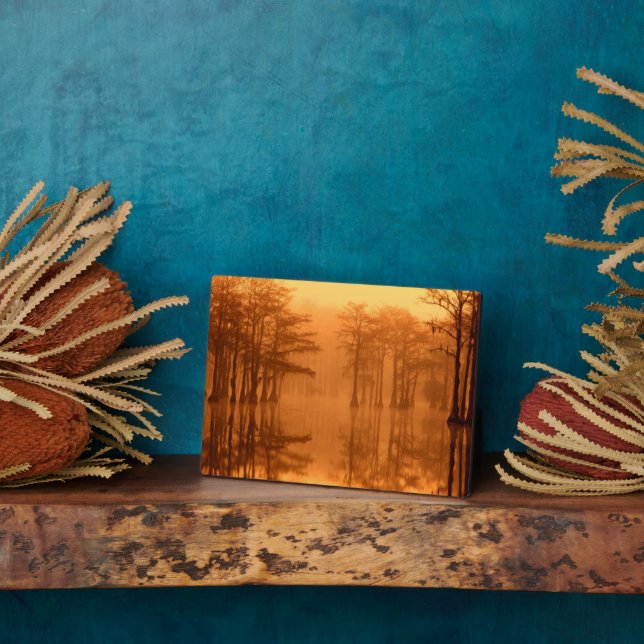 Cypress Trees George Smith State Park Plaque (Side)