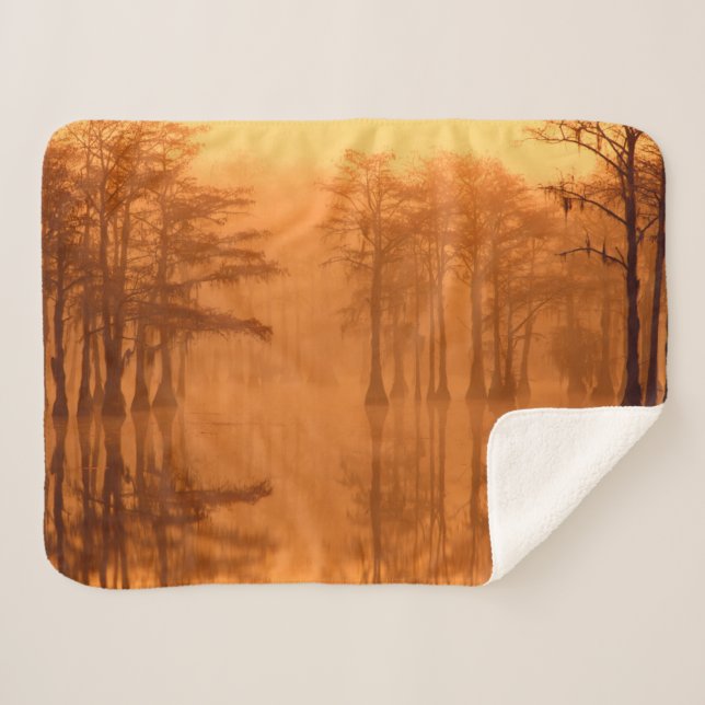 Cypress Trees George Smith State Park Sherpa Blanket (Front (Horizontal))