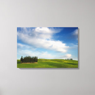 Cypress trees in Tuscany canvas Print