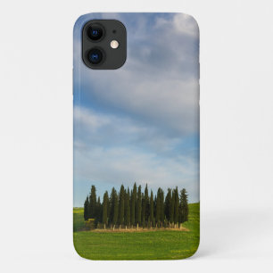 Cypress trees in Tuscany, Italy iPhone 11 Case