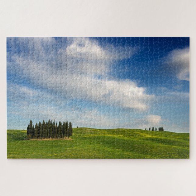 Cypress trees in Tuscany landscape Jigsaw Puzzle (Horizontal)