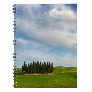 Cypress trees in Tuscany notebook