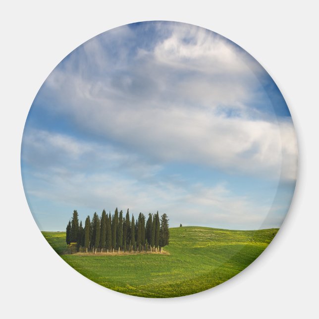 Cypress trees in Tuscany round magnet (Front)