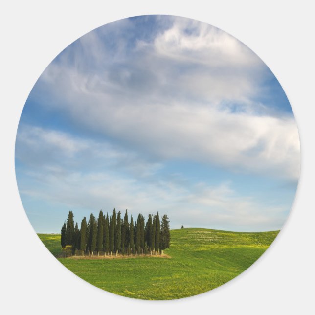 Cypress trees in Tuscany round sticker (Front)