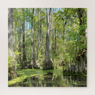 Cypress Trees Jigsaw Puzzle
