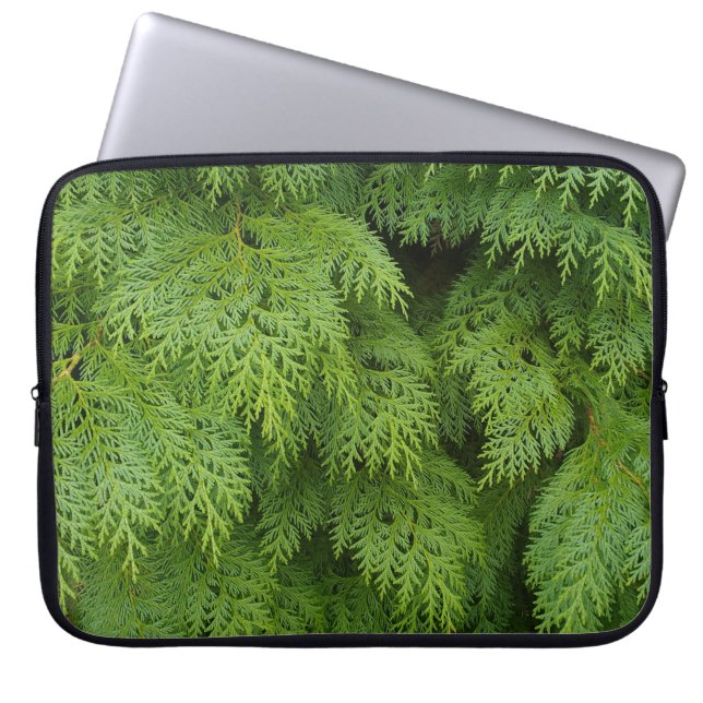 Cypress trees laptop sleeve (Front)