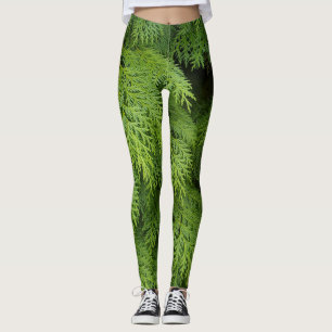 Cypress trees leggings