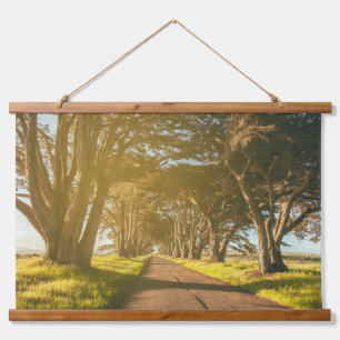 Cypress Tunnel Point Reyes National Seashore Hanging Tapestry