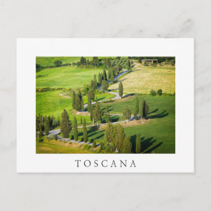 Cypress winding road in Tuscany white postcard