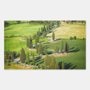 Cypress winding road, Tuscany rectangular sticker