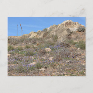 Cyprus Landscape Postcard